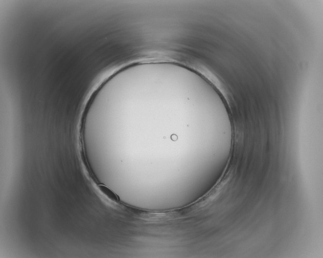 X0000111351485200907310942