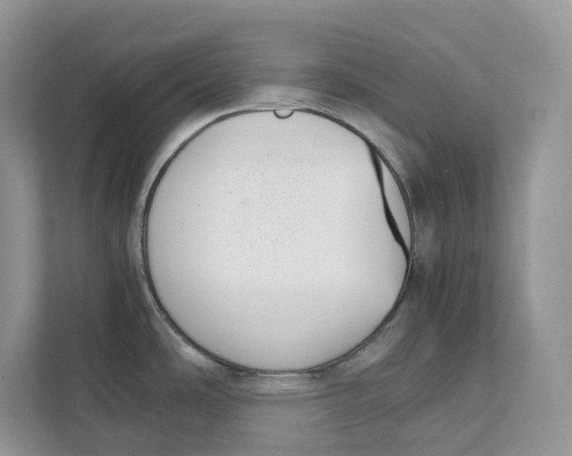 X0000111351486200907310942