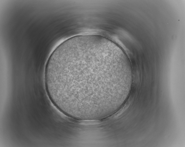 X0000111351487200907310942