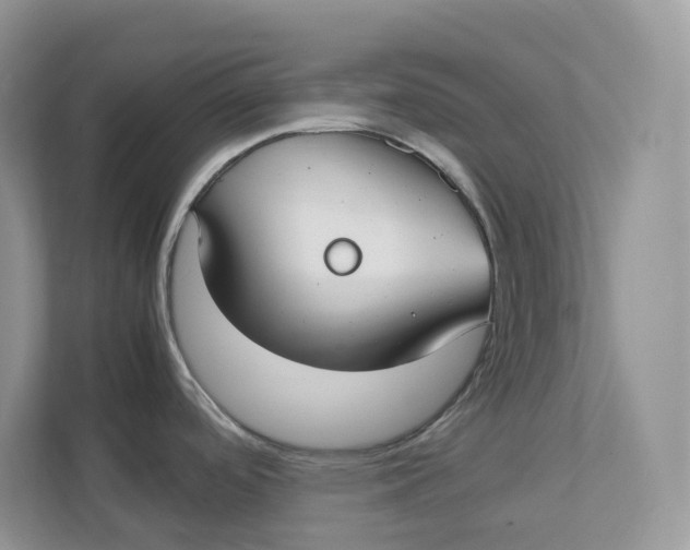 X0000111351488200907310942