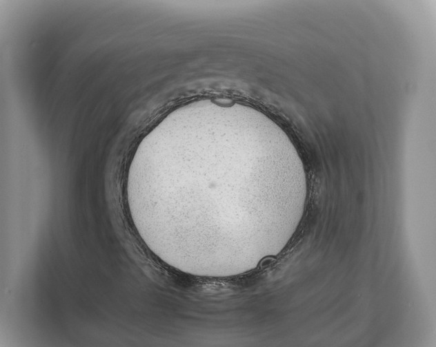 X0000111351489200907310941