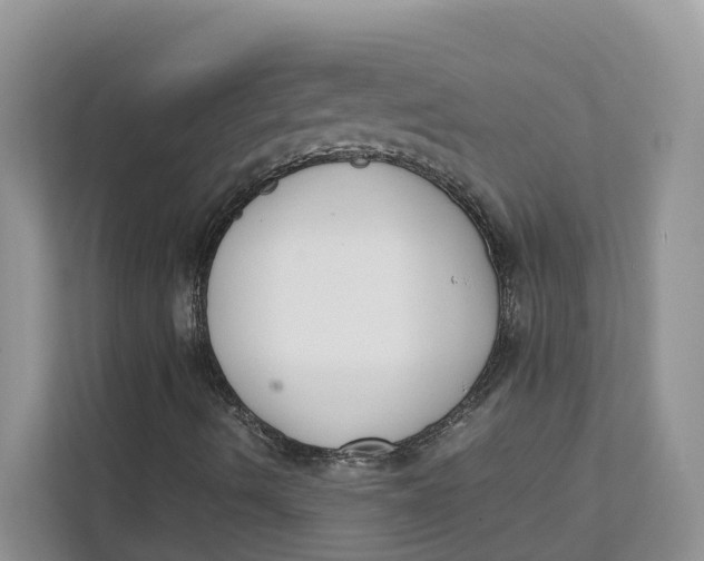 X0000111351490200907310941