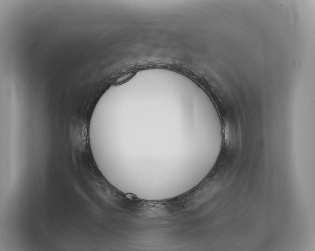 X0000111351492200907310941