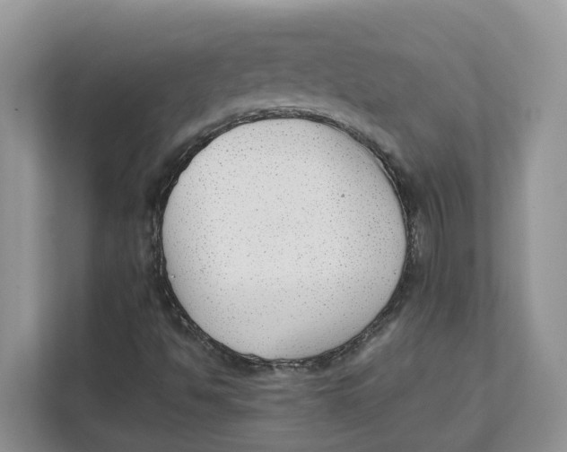 X0000111351494200907310941