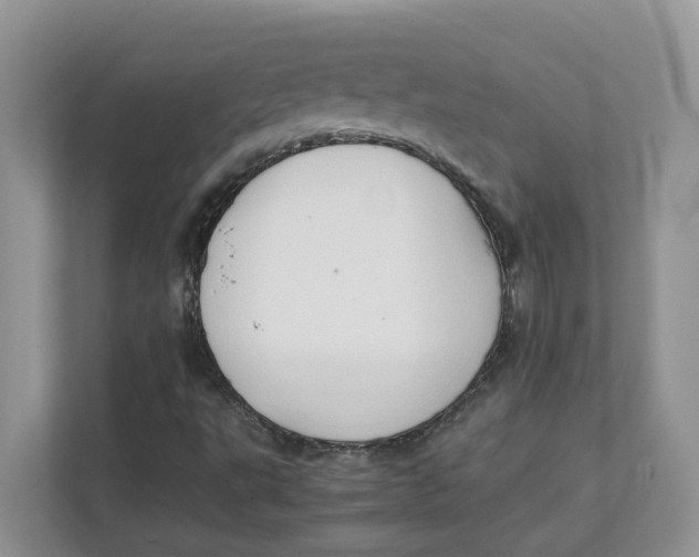 X0000111351495200907310941