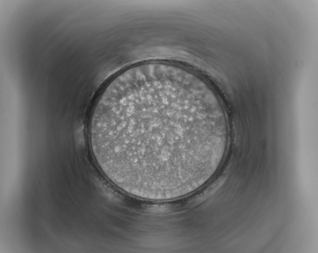 X0000111351497200907310941