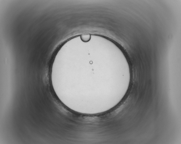 X0000111351498200907310941