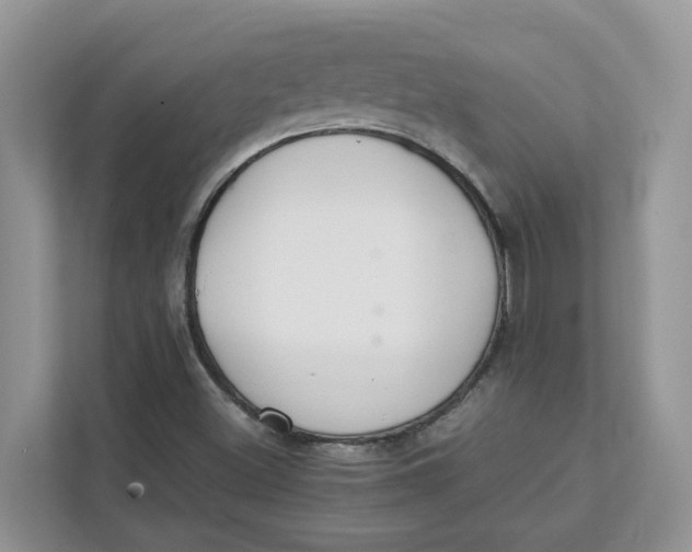 X0000111351500200907310941