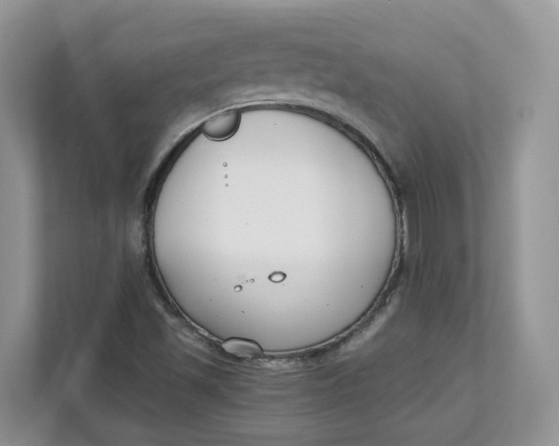 X0000111351501200907310941