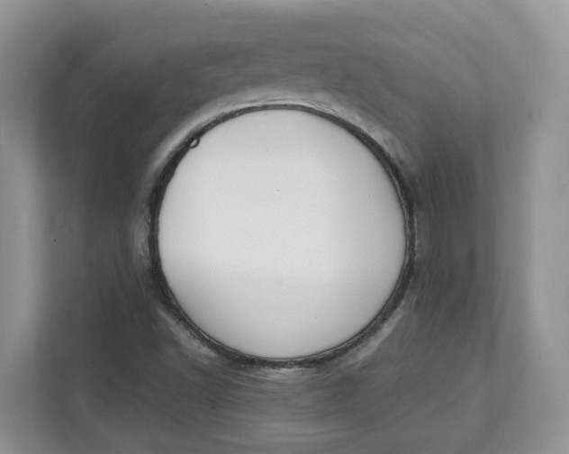 X0000111351502200907310941