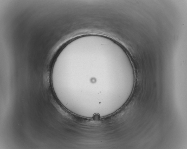 X0000111351503200907310941