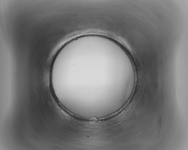 X0000111351504200907310941