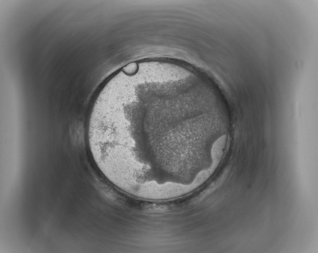 X0000111351505200907310941