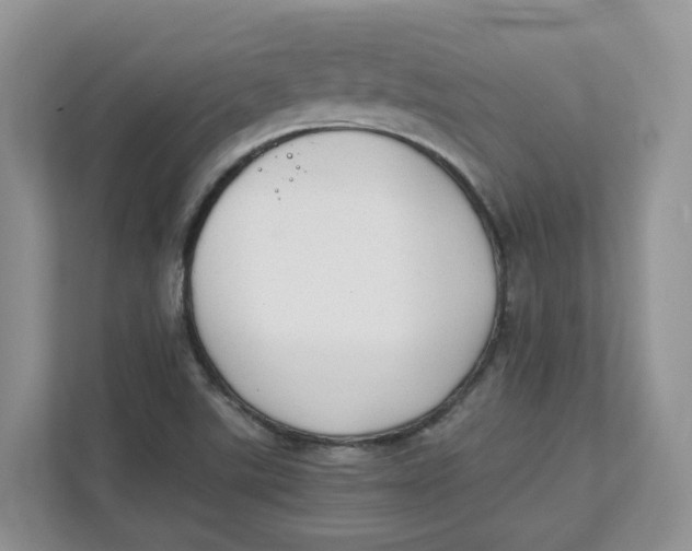 X0000111351507200907310941