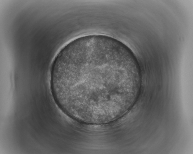 X0000111351508200907310941