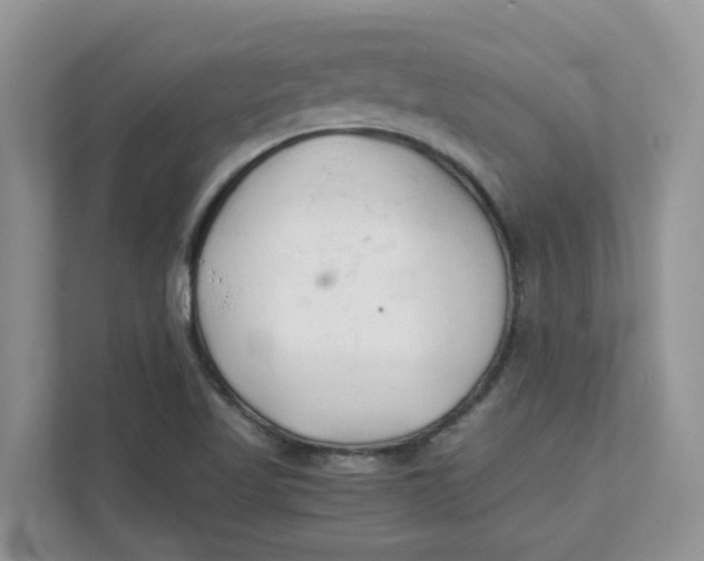 X0000111351509200907310941