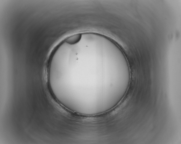 X0000111351510200907310941