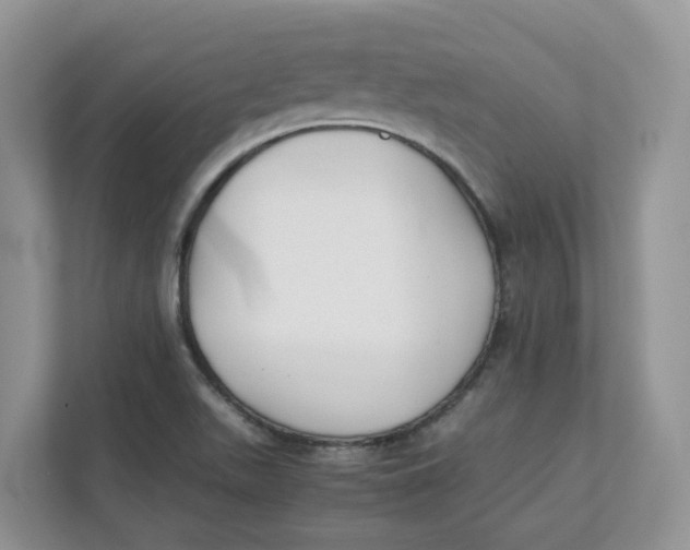 X0000111351511200907310941