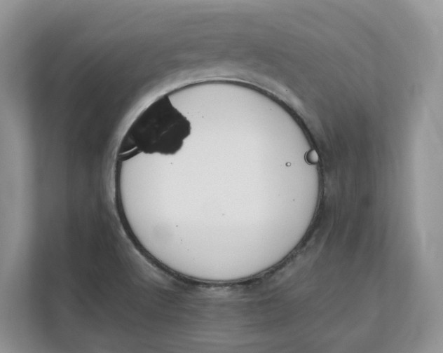 X0000111351512200907310941