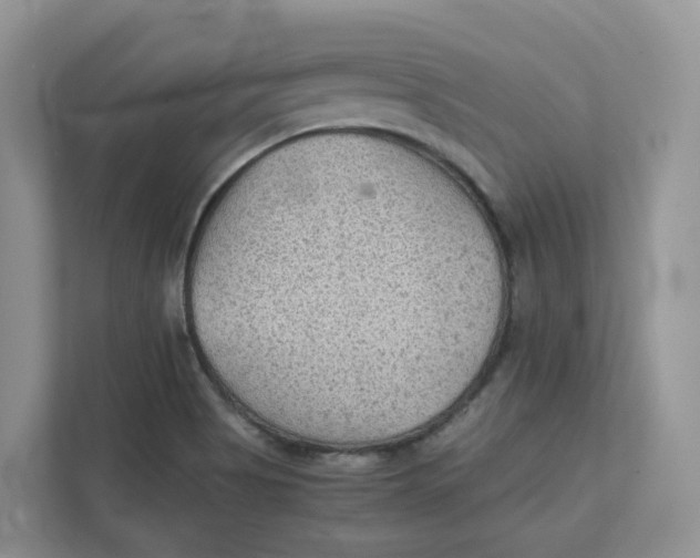 X0000111351513200907310941