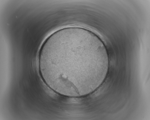 X0000111351514200907310941