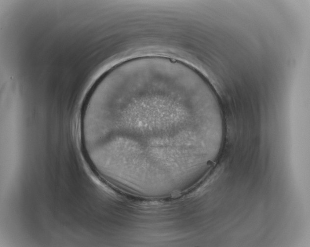 X0000111351515200907310941