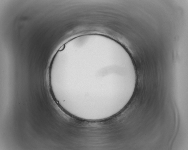 X0000111351516200907310941