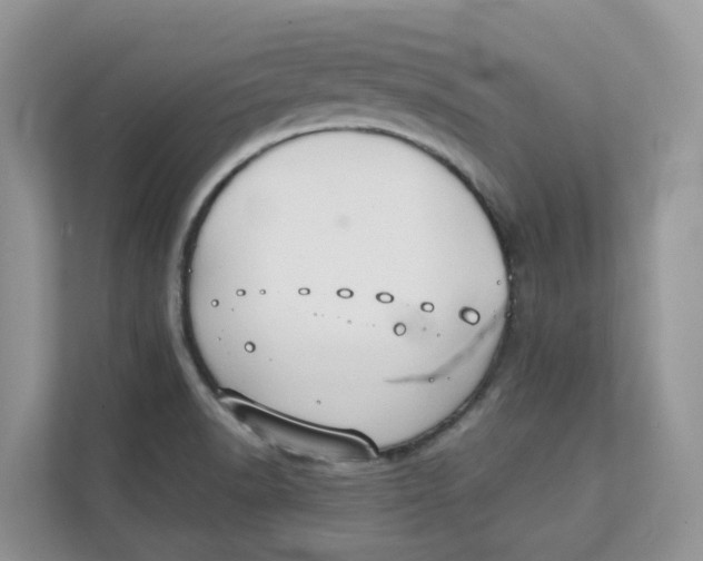 X0000111351518200907310942