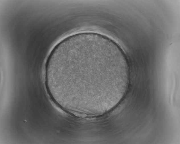 X0000111351519200907310942