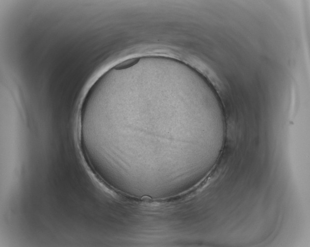 X0000111351520200907310942