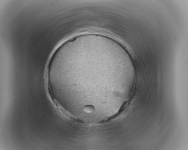 X0000111351522200907310942