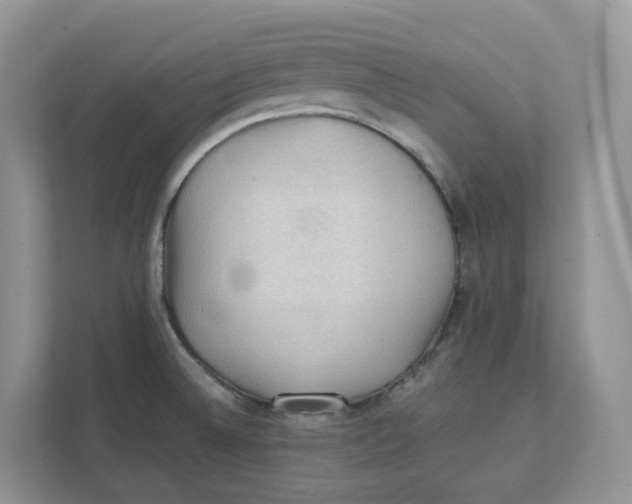 X0000111351524200907310942