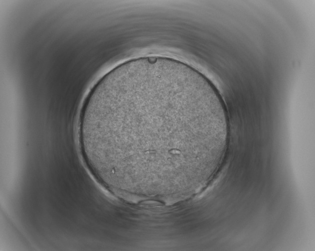 X0000111351525200907310942