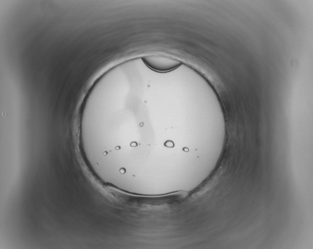 X0000111351526200907310942