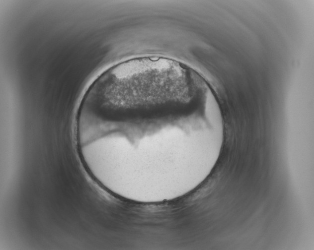 X0000111351527200907310942