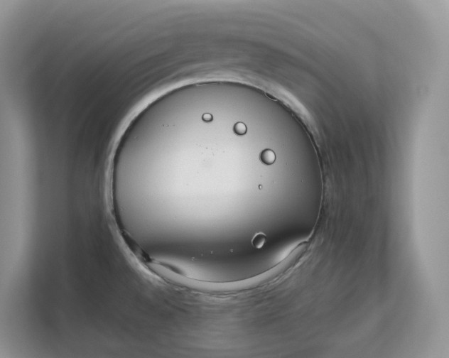 X0000111351528200907310942