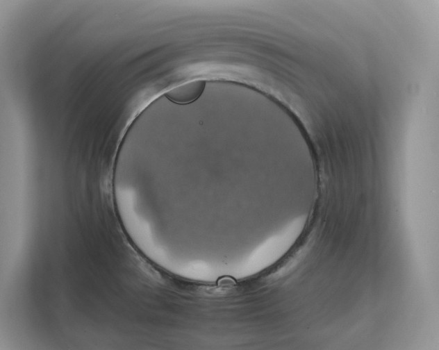 X0000111351529200907310942