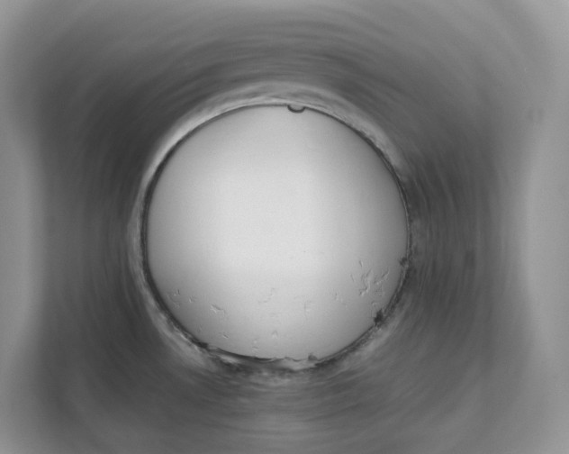 X0000111351530200907310942