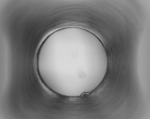 X0000111351531200907310942