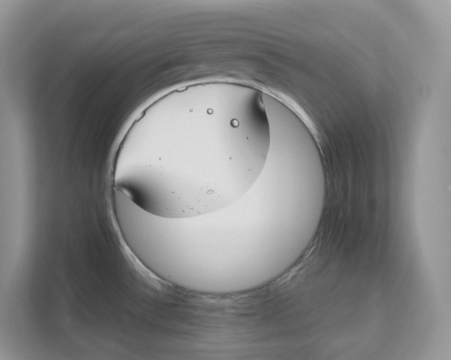 X0000111351532200907310942