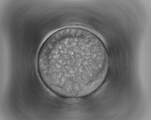 X0000111351533200907310942