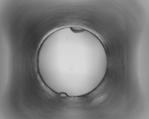 X0000111351534200907310942