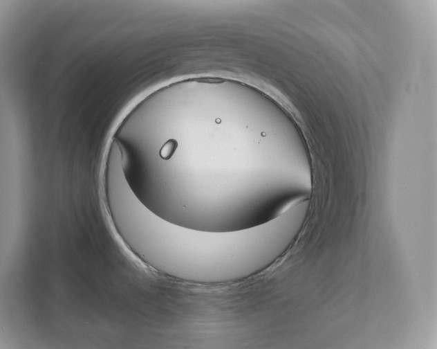 X0000111351536200907310942