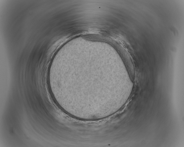 X0000111350001200908071142