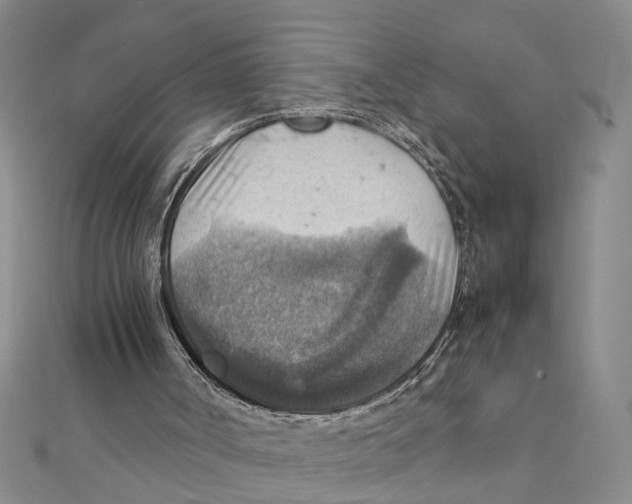 X0000111350002200908071142