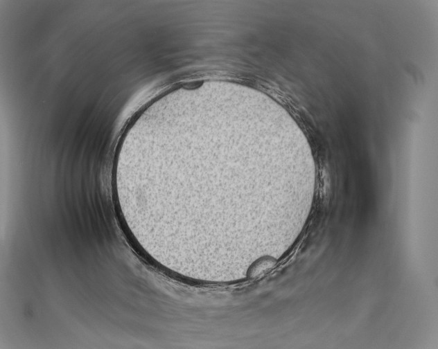 X0000111350004200908071142