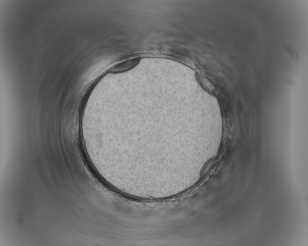 X0000111350005200908071142