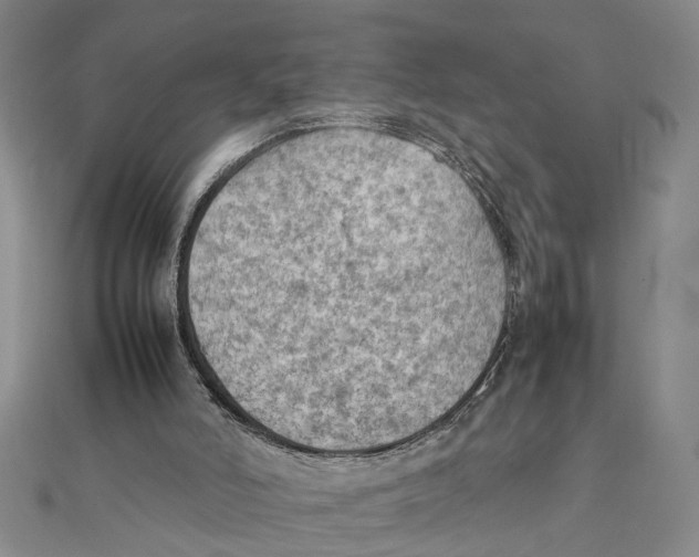 X0000111350006200908071142