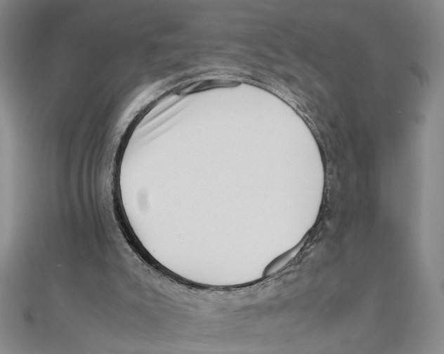 X0000111350007200908071142