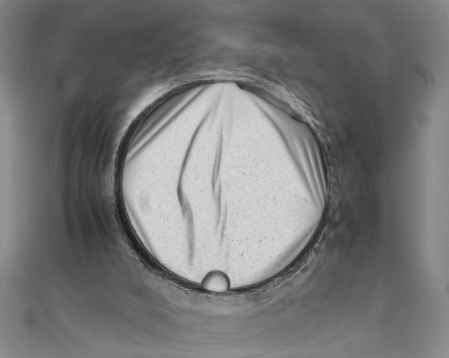 X0000111350008200908071142